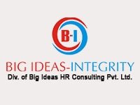 Big Ideas Itegrity